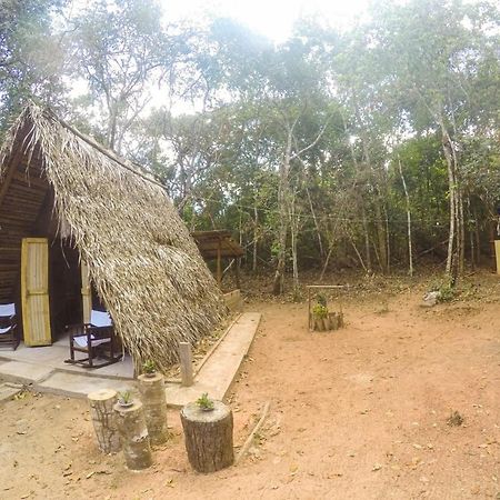Hotel Hospedagem Aldeia Do Leao Carolina  Zewnętrze zdjęcie