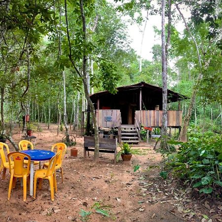 Hotel Hospedagem Aldeia Do Leao Carolina  Zewnętrze zdjęcie