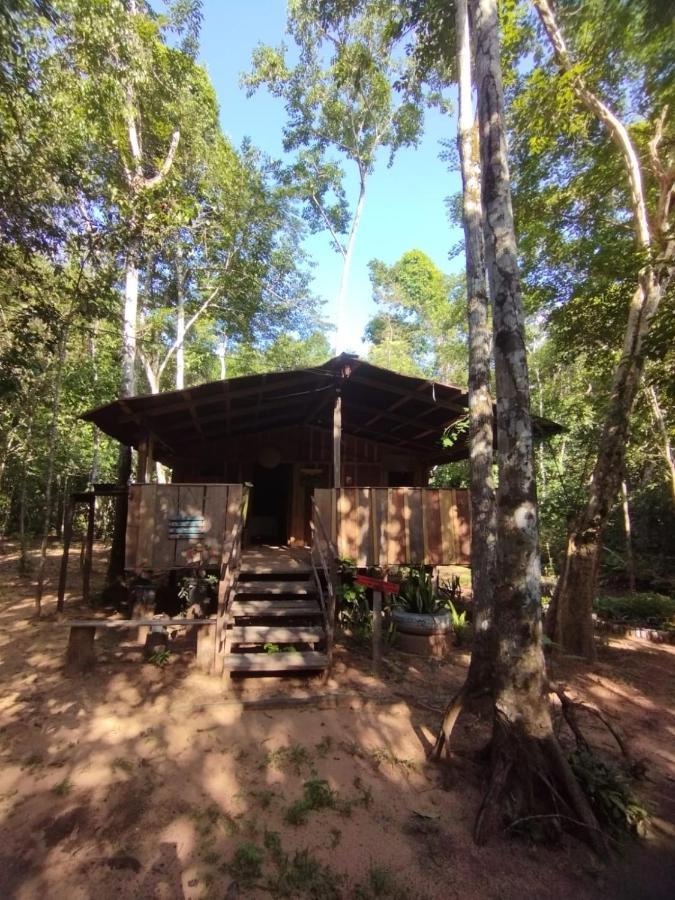 Hotel Hospedagem Aldeia Do Leao Carolina  Zewnętrze zdjęcie