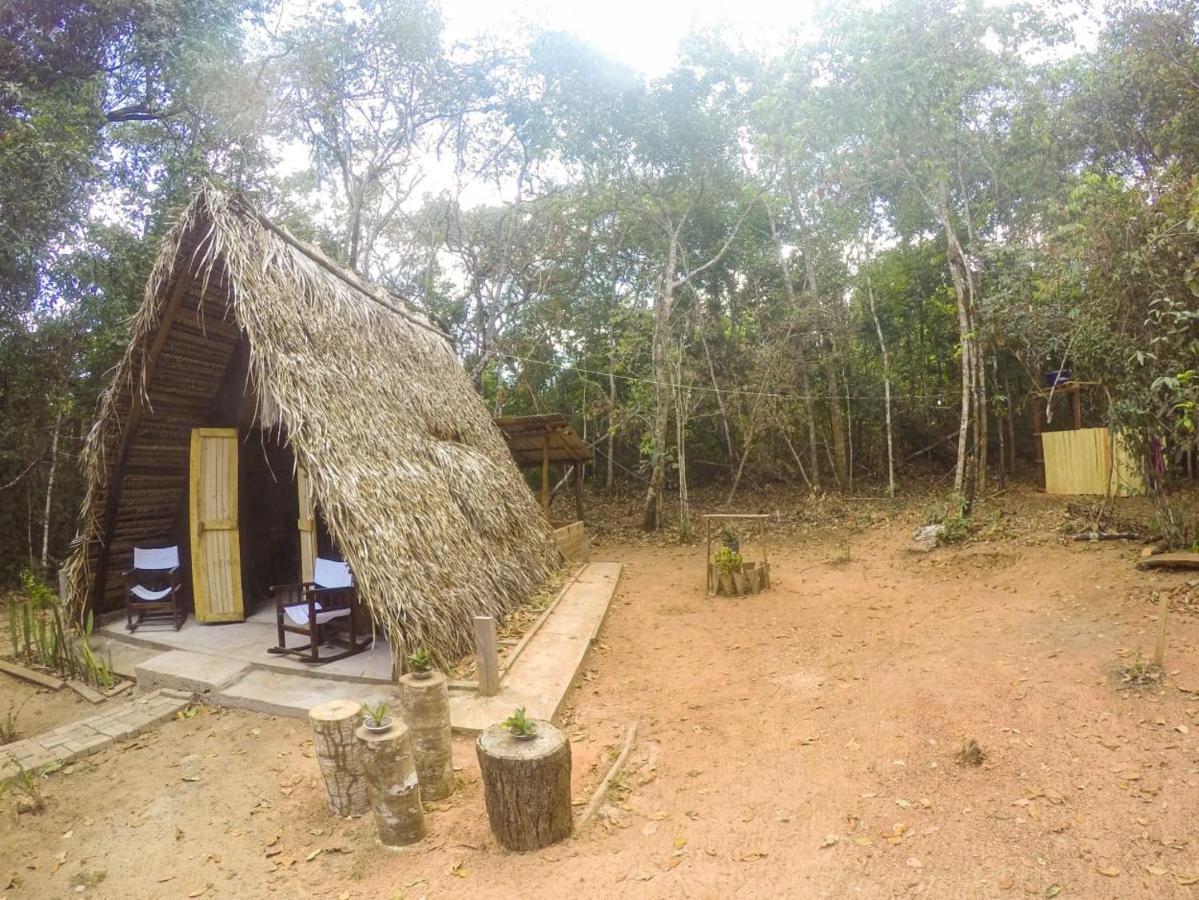 Hotel Hospedagem Aldeia Do Leao Carolina  Zewnętrze zdjęcie