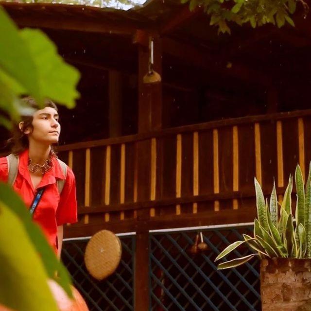 Hotel Hospedagem Aldeia Do Leao Carolina  Zewnętrze zdjęcie